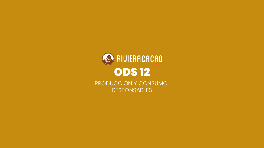 ODS 12: Producción y consumo responsables.