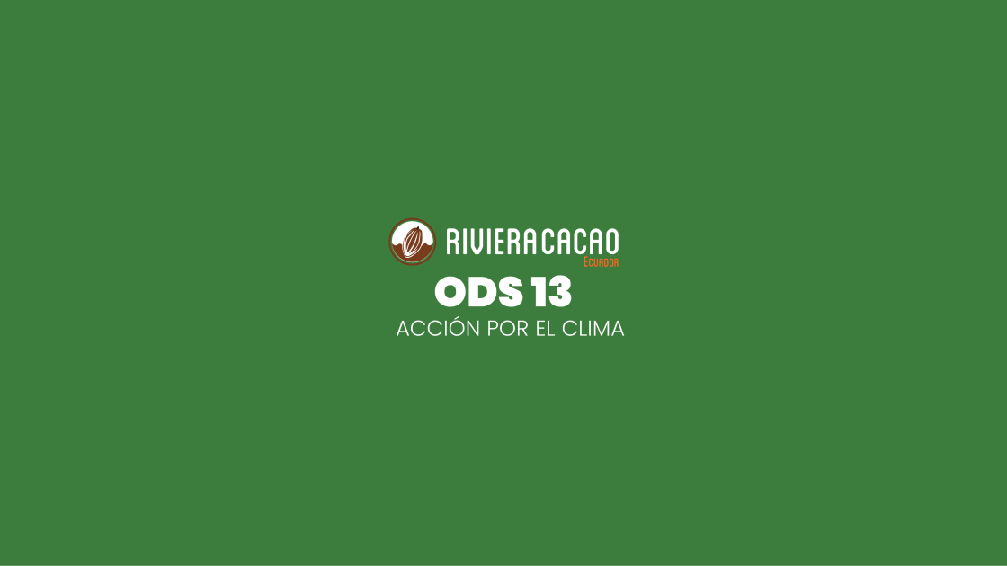 ODS 13: Acción por el clima