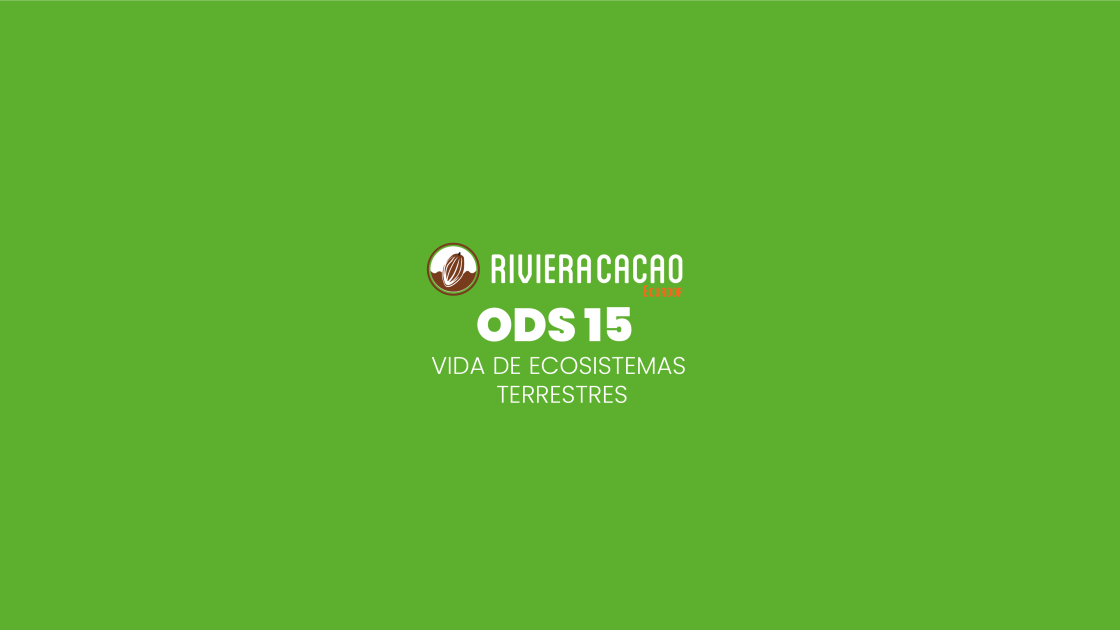 ODS 15: Vida de ecosistemas terrestres.