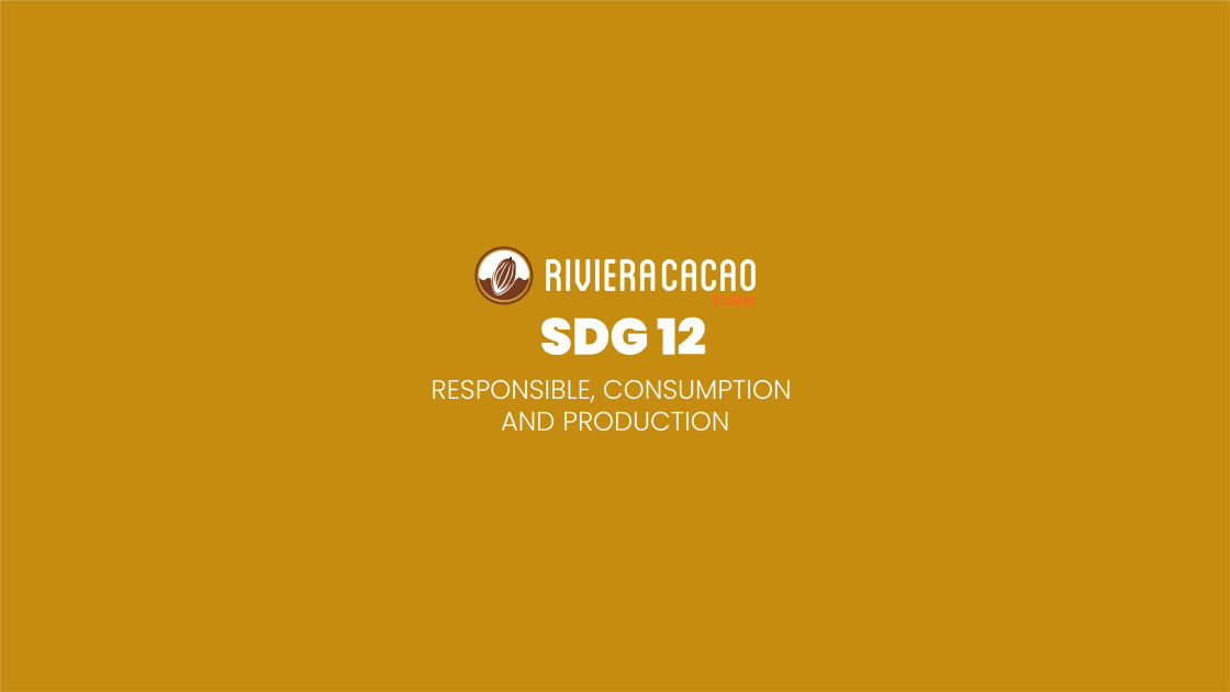 SDG12 Responsible Consumption and Production
