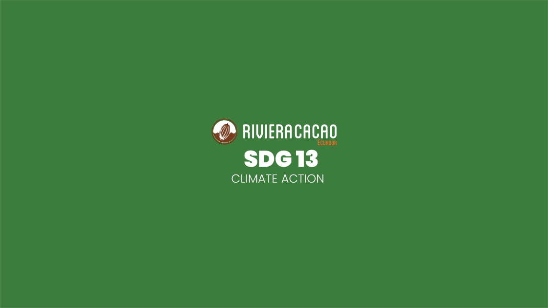 SDG13 Climate Action