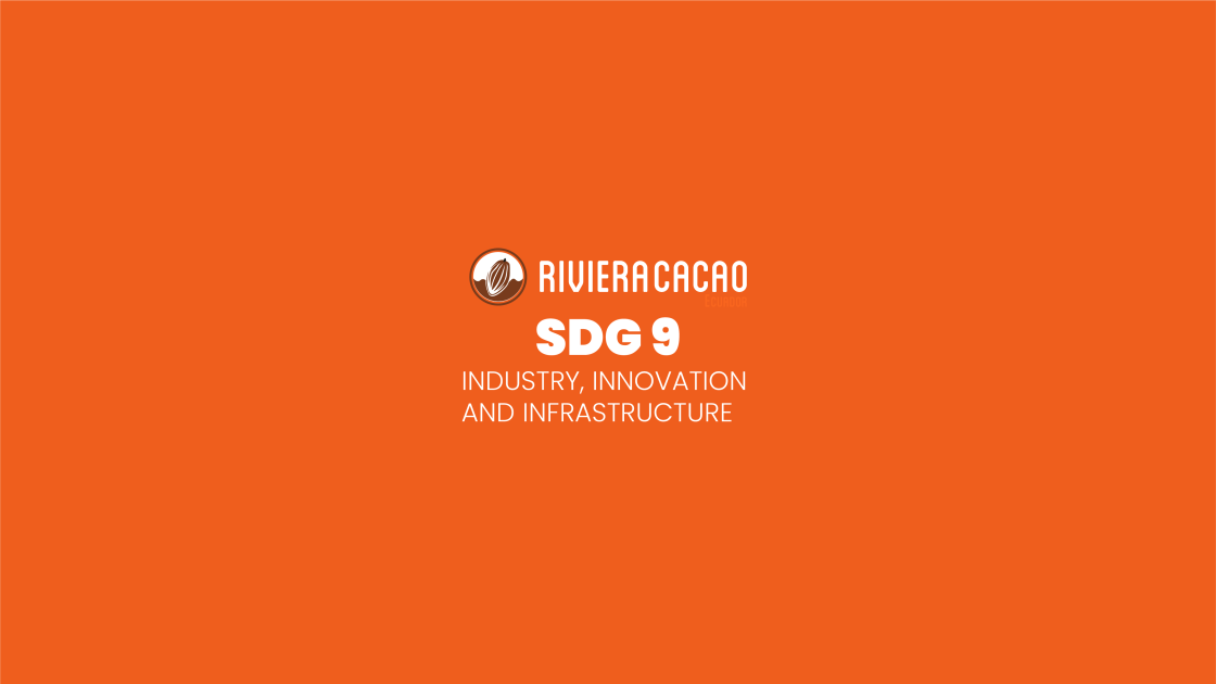 SDG9 INDUSTRY, INNOVATION AND INFRASTRUCTURE