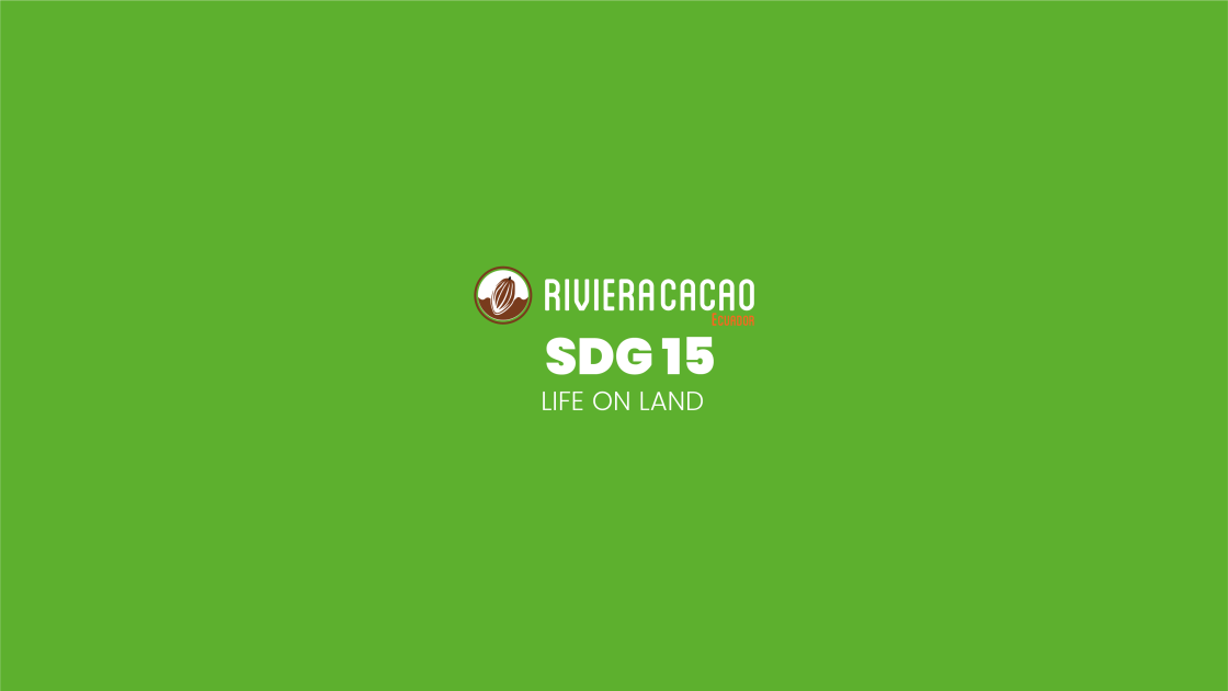 SDG15 Life on Land