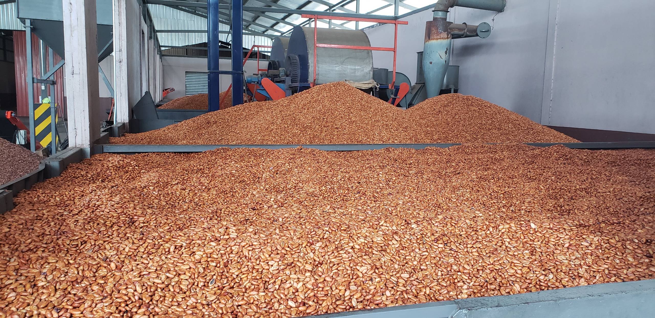 new-protocol--scaled