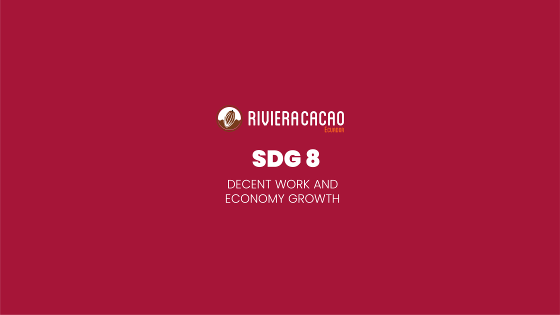 SDG8 DECENT WORK AND ECONOMY GROWTH